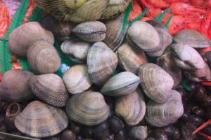 Almeja fina o de cuchillo