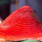 Atún rojo lomo alto
