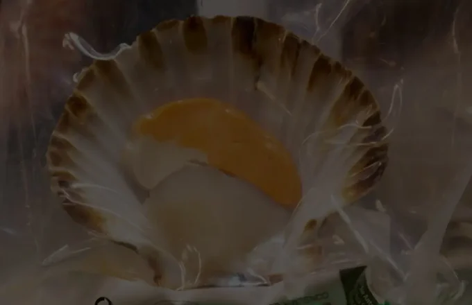 Variados
